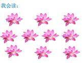 小学语文人教课标版（部编）三年级下册3荷花课件PPT