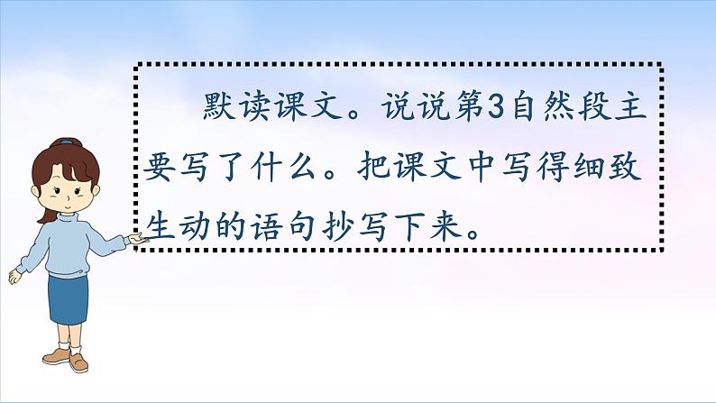 小学语文人教课标版（部编）三年级下册15小虾课件PPT第5页