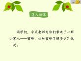 小学语文人教课标版（部编）三年级下册14蜜蜂 1课件PPT