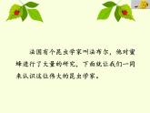 小学语文人教课标版（部编）三年级下册14蜜蜂 1课件PPT