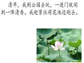 小学语文人教课标版（部编）三年级下册3荷花 2课件PPT