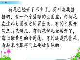 小学语文人教课标版（部编）三年级下册3荷花 2课件PPT