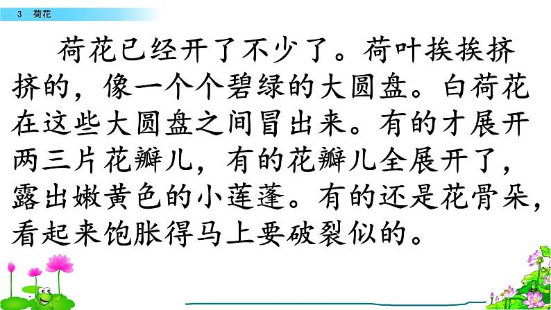 小学语文人教课标版（部编）三年级下册3荷花 2课件PPT第5页