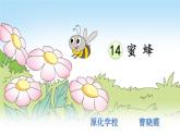 小学语文人教课标版（部编）三年级下册14蜜蜂课件PPT