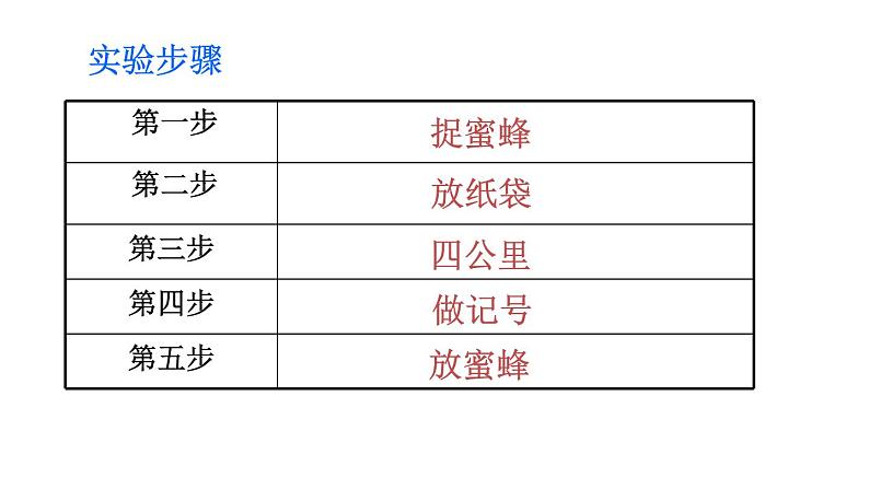 小学语文人教课标版（部编）三年级下册14蜜蜂课件PPT08