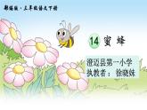 小学语文人教课标版（部编）三年级下册14蜜蜂 2课件PPT