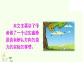 小学语文人教课标版（部编）三年级下册14蜜蜂 2课件PPT