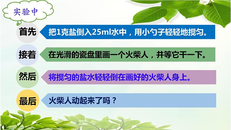 小学语文人教课标版（部编）三年级下册习作：我做了一项小实验 2课件PPT05