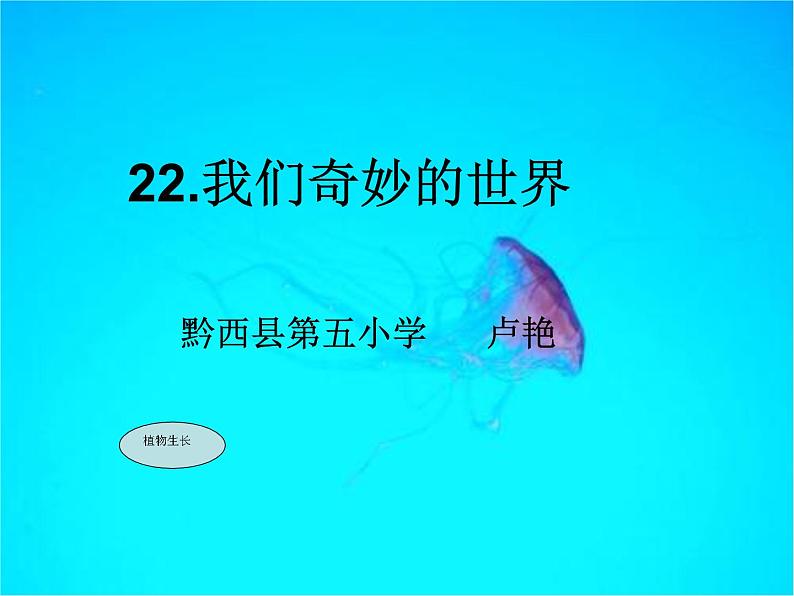 小学语文人教课标版（部编）三年级下册22我们奇妙的世界课件PPT01