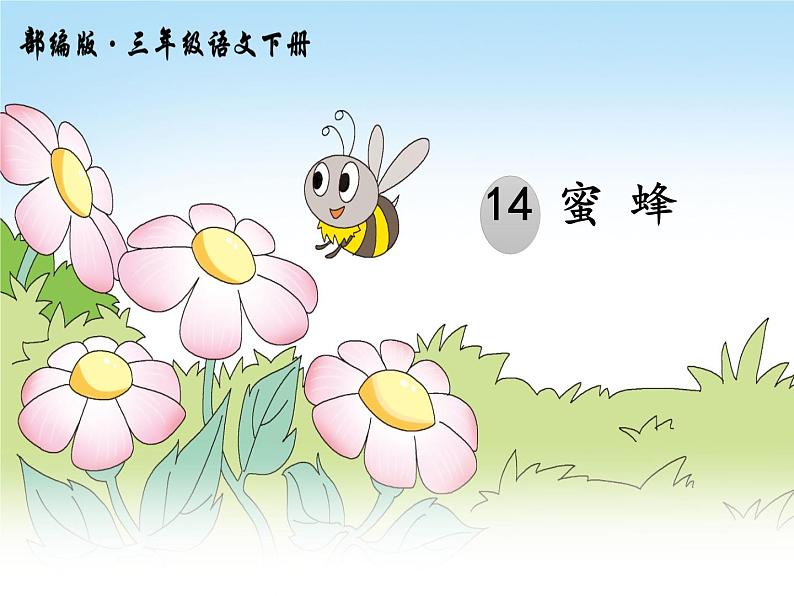 小学语文人教课标版（部编）三年级下册14蜜蜂课件PPT02