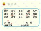 小学语文人教课标版（部编）三年级下册14蜜蜂课件PPT