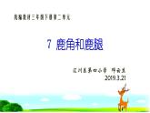 小学语文人教课标版（部编）三年级下册7鹿角和鹿腿 1课件PPT