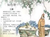 小学语文人教课标版（部编）三年级下册九月九日忆山东兄弟课件PPT