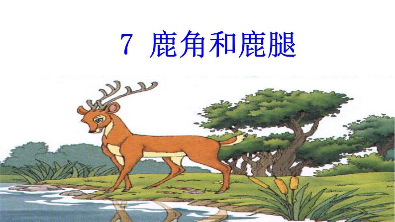 小学语文人教课标版（部编）三年级下册7鹿角和鹿腿 1课件PPT第1页