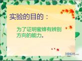 小学语文人教课标版（部编）三年级下册14蜜蜂 2课件PPT