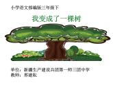 小学语文人教课标版（部编）三年级下册17我变成了一棵树 3课件PPT