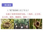 小学语文人教课标版（部编）三年级下册17我变成了一棵树 3课件PPT