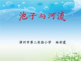 小学语文人教课标版（部编）三年级下册8池子与河流课件PPT