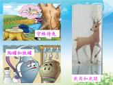 小学语文人教课标版（部编）三年级下册8池子与河流课件PPT