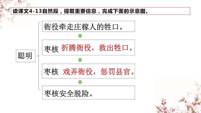 小学语文人教课标版（部编）三年级下册28枣核课件PPT第4页