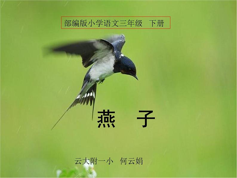 小学语文人教课标版（部编）三年级下册2燕子 3课件PPT第1页