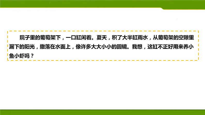 小学语文人教课标版（部编）三年级下册15小虾 2课件PPT02