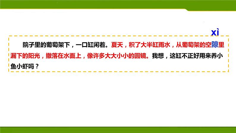 小学语文人教课标版（部编）三年级下册15小虾 2课件PPT03