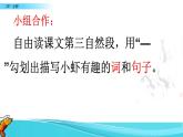 小学语文人教课标版（部编）三年级下册15小虾 3课件PPT