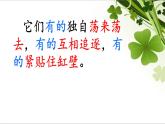 小学语文人教课标版（部编）三年级下册15小虾 3课件PPT