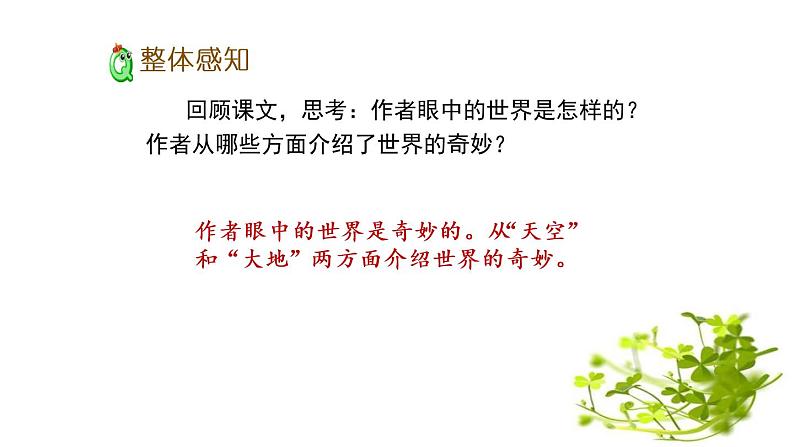 小学语文人教课标版（部编）三年级下册22我们奇妙的世界 1课件PPT第3页