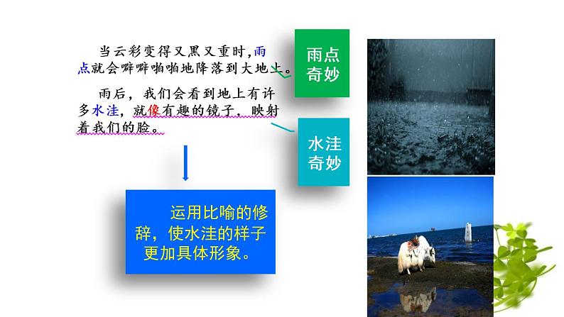 小学语文人教课标版（部编）三年级下册22我们奇妙的世界 1课件PPT第8页