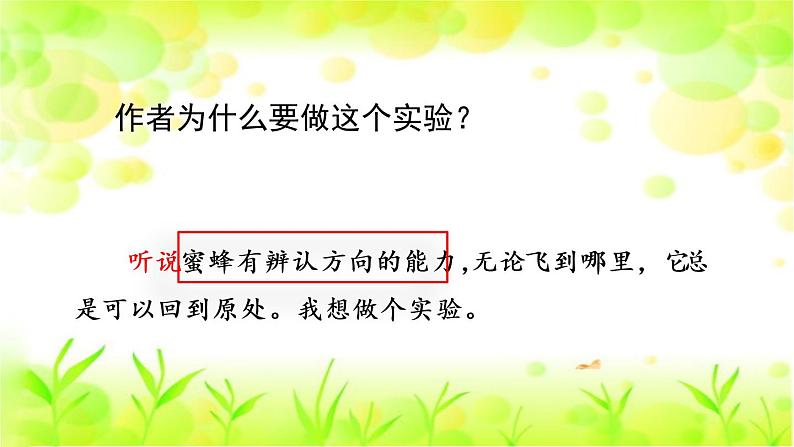 小学语文人教课标版（部编）三年级下册14蜜蜂 1课件PPT05