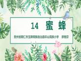 小学语文人教课标版（部编）三年级下册14蜜蜂 3课件PPT