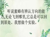 小学语文人教课标版（部编）三年级下册14蜜蜂 3课件PPT