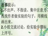 小学语文人教课标版（部编）三年级下册14蜜蜂 3课件PPT