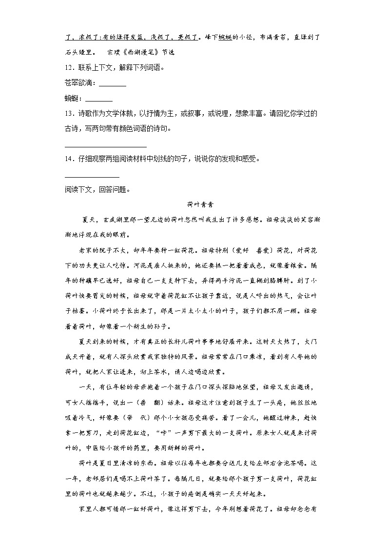 小升初课内外阅读语段专项（四）（试题）-2021-2022学年语文六年级下册03