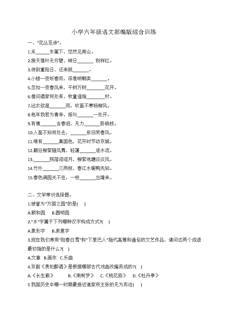 小升初语文综合训练9+试题-2022年语文六年级下册-人教部编版（无答案） (2)第1页