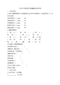 小升初语文综合训练8+试题-2022年语文六年级下册-人教部编版(无答案) (2)