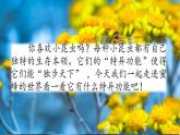 部编版三年级下册语文《蜜蜂》 课件