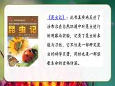 部编版三年级下册语文《蜜蜂》 课件