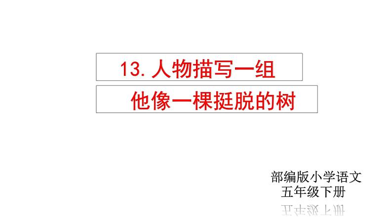 部编版五年级语文下册-13.《人物描写一组——他像一棵挺脱的树》课件第1页