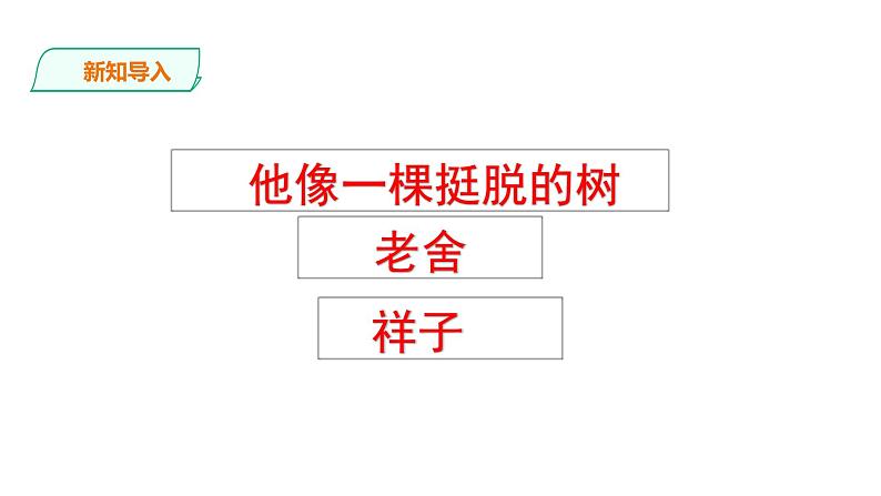 部编版五年级语文下册-13.《人物描写一组——他像一棵挺脱的树》课件第4页