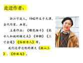 部编版五年级语文下册-14.刷子李课件