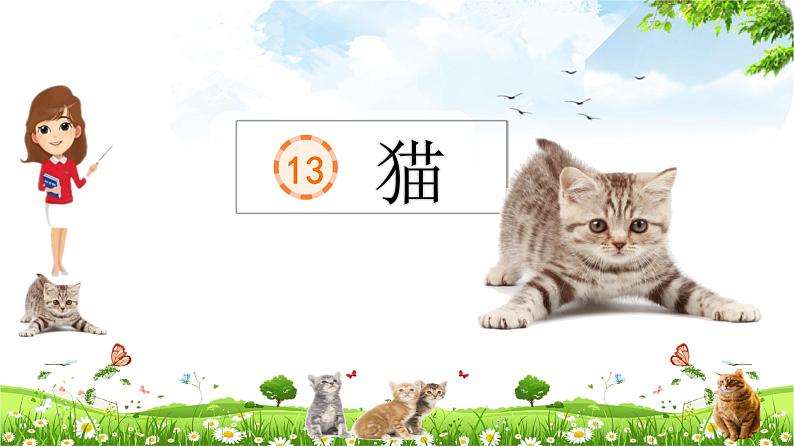 部编版四年级语文下册-13《猫》课件第3页