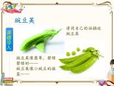 人教部编版四年级上册第二单元——5 一个豆荚里的五粒豆课件+教案+反思+生字+朗读】