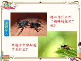 人教部编版四年级上册第三单元——11 蟋蟀的住宅【课件+教案+反思+生字+朗读】