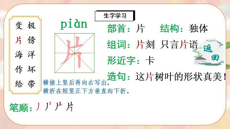 2 我是什么（生字讲解）第5页