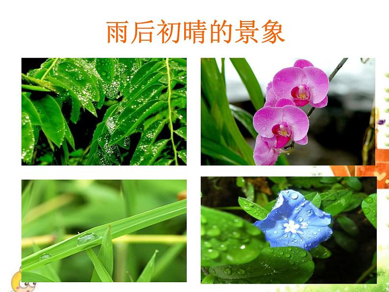 人教部编版语文四下-12在天晴了的时候 课件04