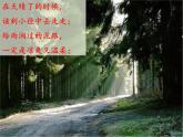 人教部编版语文四下-12在天晴了的时候 课件