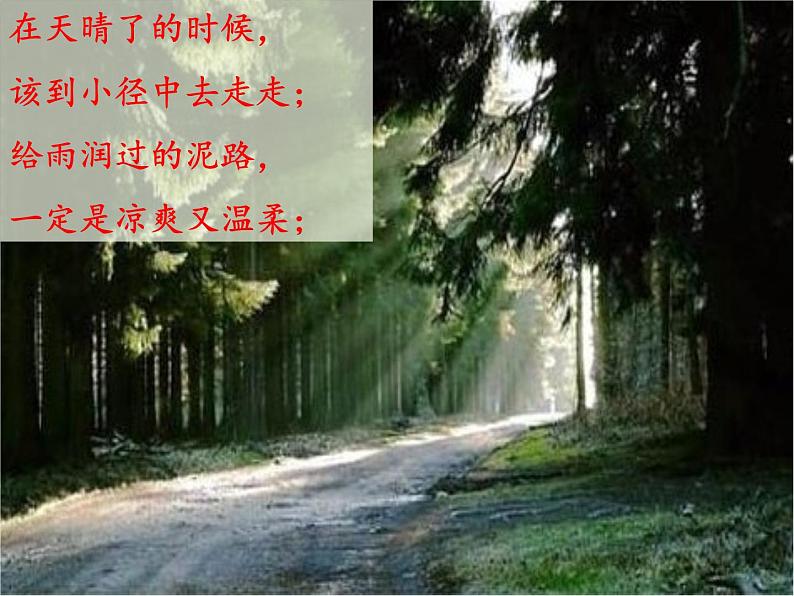 人教部编版语文四下-12在天晴了的时候 课件05